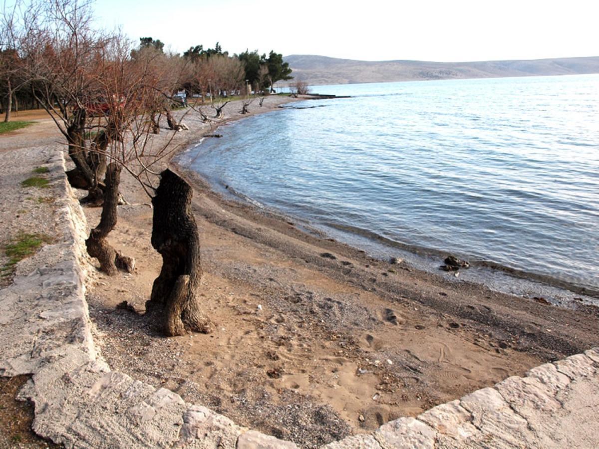 Apartments & Room Masa Starigrad Paklenica Bagian luar foto