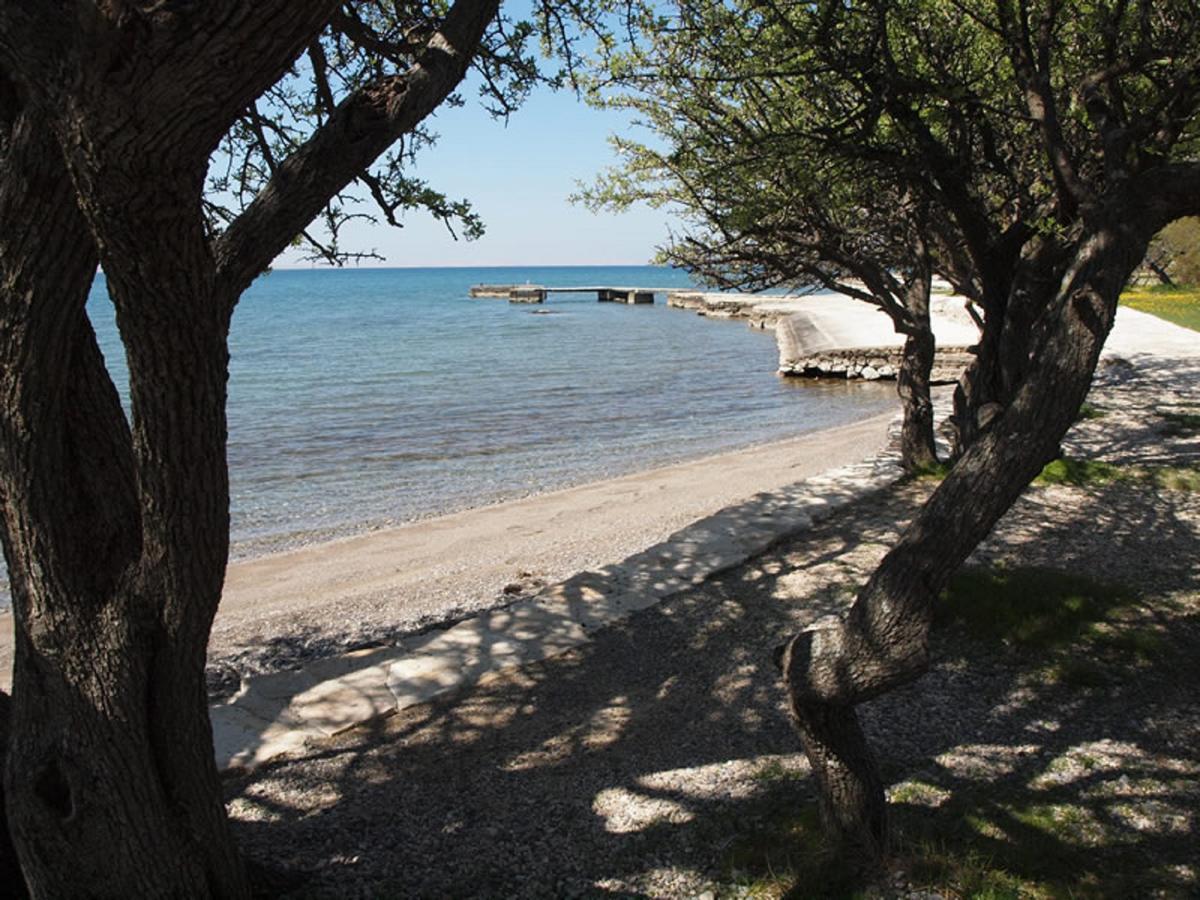 Apartments & Room Masa Starigrad Paklenica Bagian luar foto
